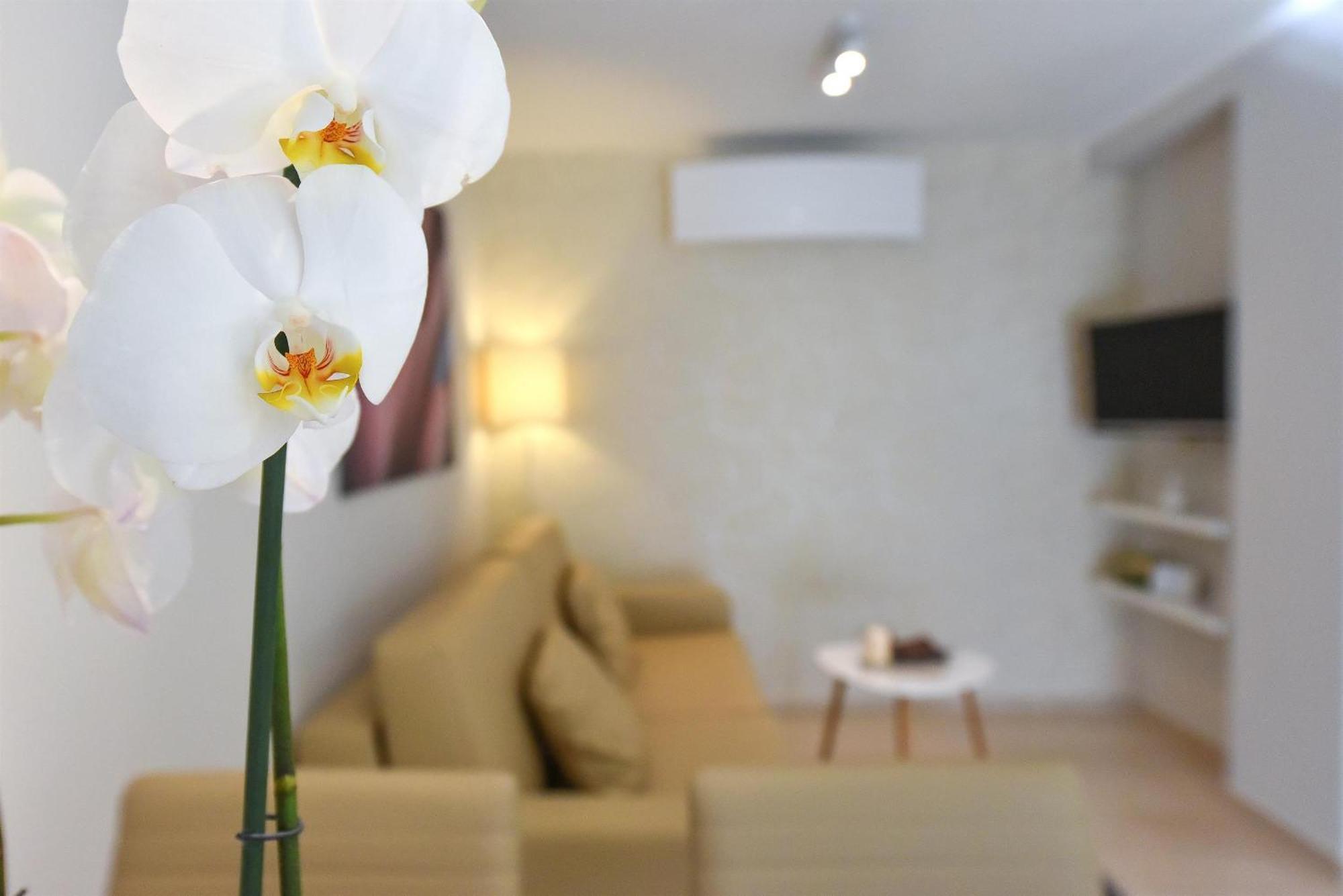 Villa Slavica 1 Vodice Bilik gambar