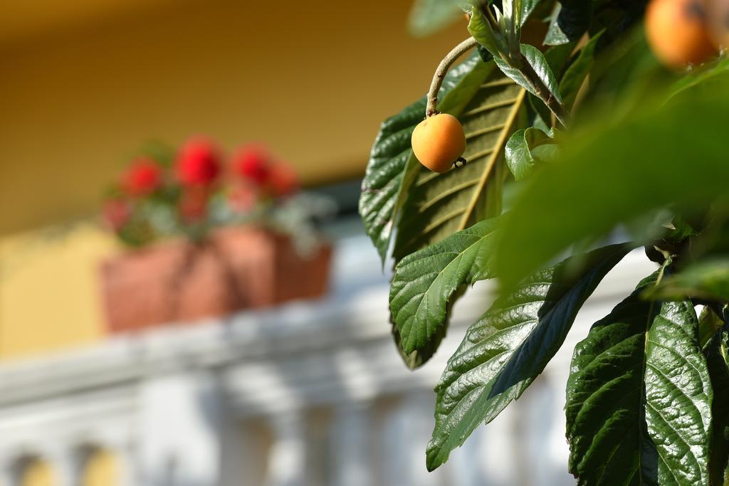 Villa Slavica 1 Vodice Luaran gambar